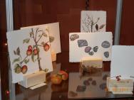 Mostra acquerello botanico Fusari