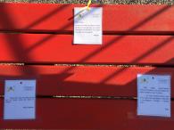 Giornata della donna