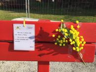 Giornata della donna