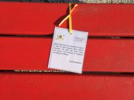 Giornata della donna