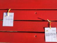 Giornata della donna