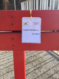 Giornata della donna