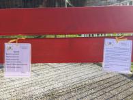 Giornata della donna