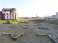 Giornata della donna