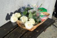 30 gennaio Cerimonia di posa delle Pietre d'inciampo a Lodi Vecchio,